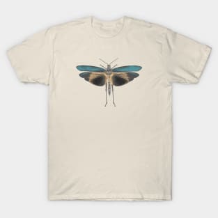 Moth in Pastel Colors T-Shirt